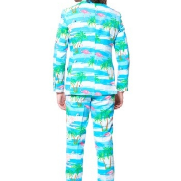 OPPOSUITS Flamingo 2pc Suit 40 R - Picture 2 of 3